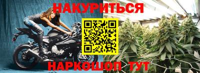 прущие грибы Пыть-Ях