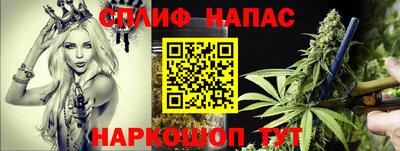 прущие крисы Пугачёв