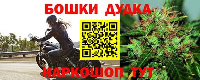 прущие грибы Пыть-Ях