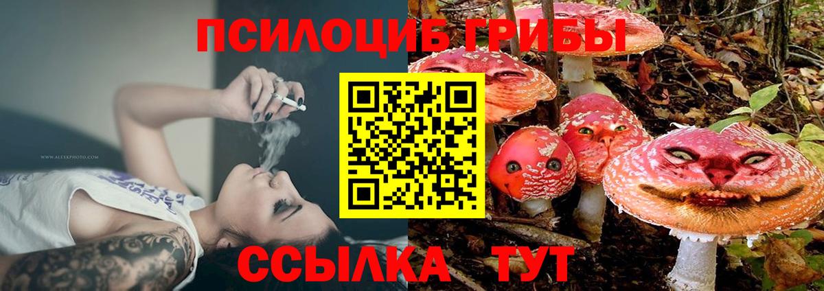 Галлюциногенные грибы MAGIC MUSHROOMS  Вход с VPN  Сухой Лог 